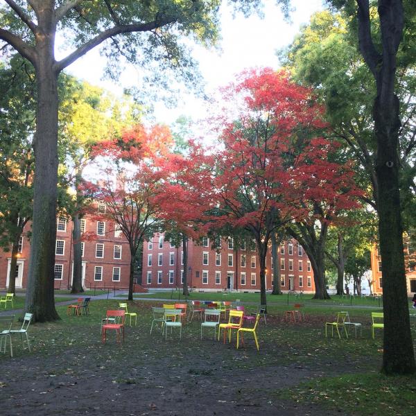 Harvard University（ハーバード大学）の紅葉