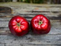 リンゴにまつわるイタリア語のイディオム５選