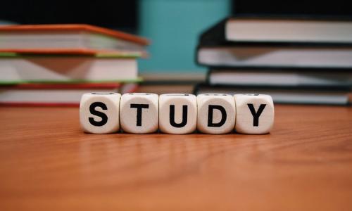 【体験談・評判】続けられる英語学習?スタディサプリで日常英会話を勉強した結果