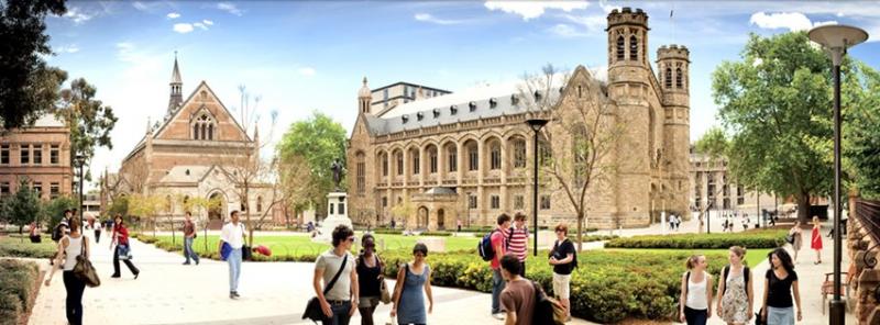 The University of Adelaideの様子
