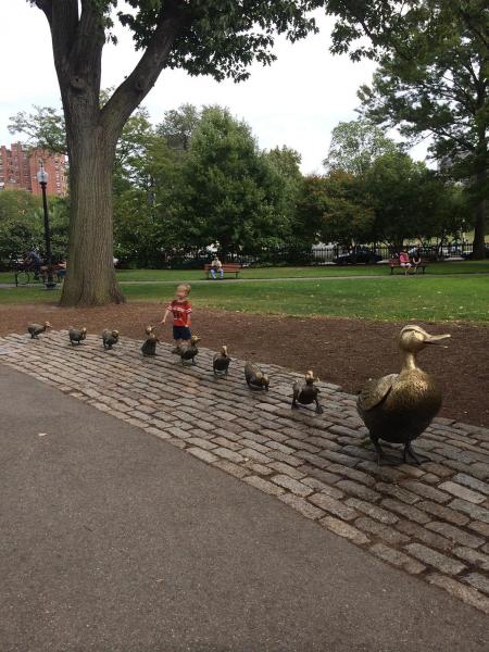 Boston Public Garden（ボストン・パブリック・ガーデン）の様子