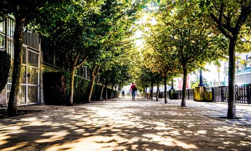 【徹底比較】バンクーバーのお勧め語学学校30選!ワーホリ・語学留学の人気校【2020年最新版】