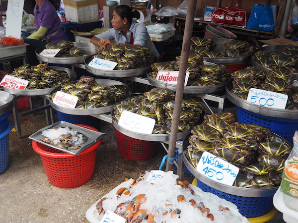 タイ・マハチャイ市場の魚売り場