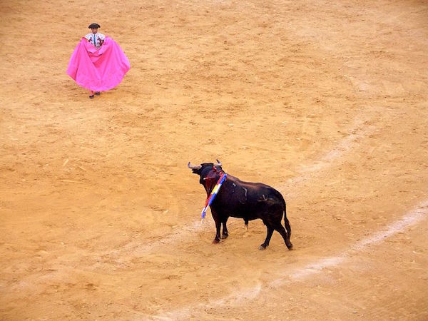 スペインの祭り「フェリア・デ・マラガ」で開催される闘牛